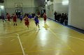 Basket 443023